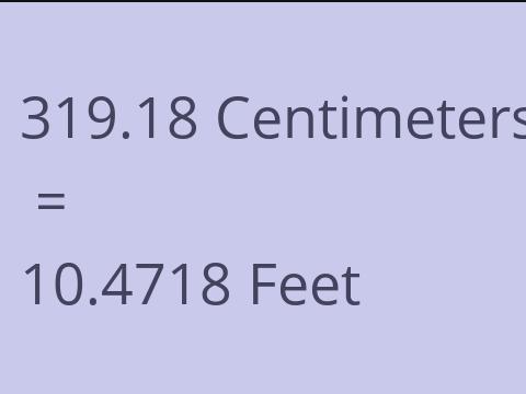 319.18 CM TO FEET