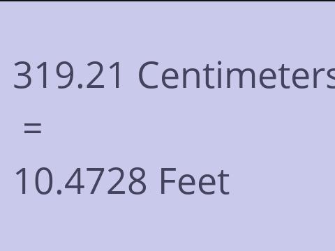 319.21 CM TO FEET