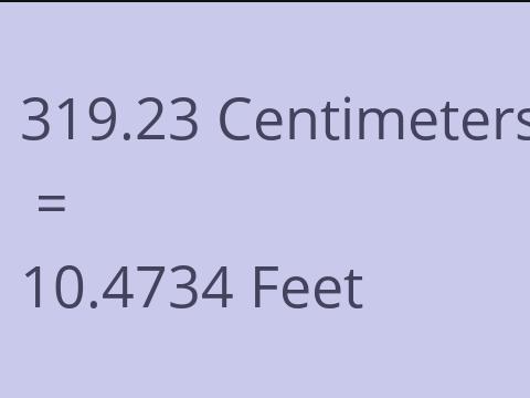 319.23 CM TO FEET