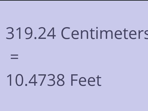 319.24 CM TO FEET