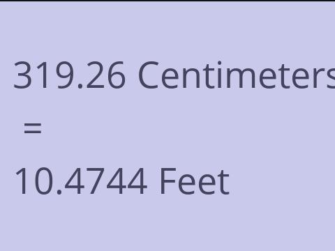 319.26 CM TO FEET