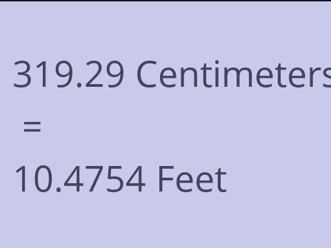 319.29 CM TO FEET