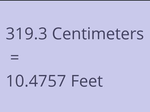 319.3 CM TO FEET