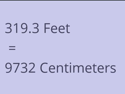 319.3 FEET TO CM