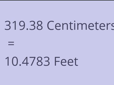 319.38 CM TO FEET