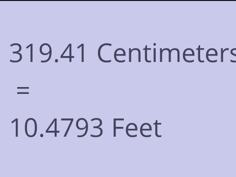 319.41 CM TO FEET