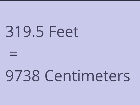 319.5 FEET TO CM