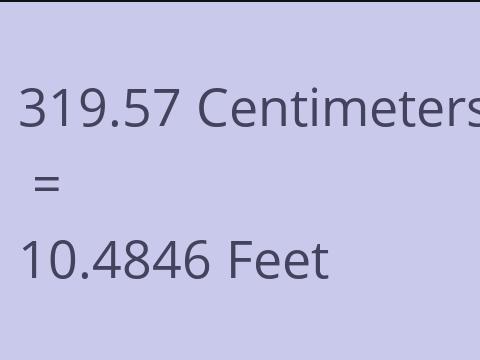 319.57 CM TO FEET