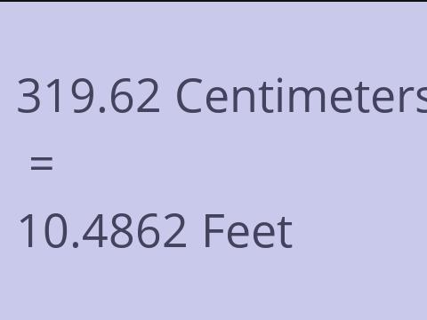 319.62 CM TO FEET