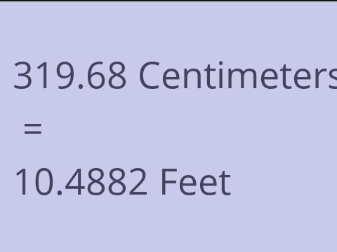 319.68 CM TO FEET