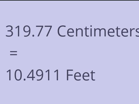 319.77 CM TO FEET