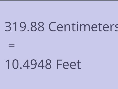 319.88 CM TO FEET