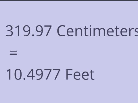 319.97 CM TO FEET