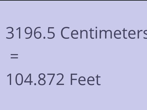 3196.5 CM TO FEET