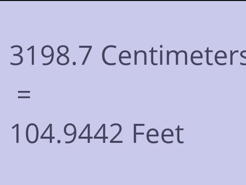 3198.7 CM TO FEET