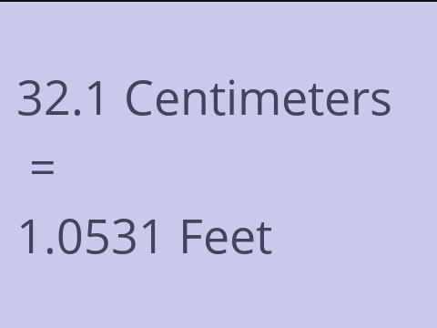 32.1 CM TO FEET