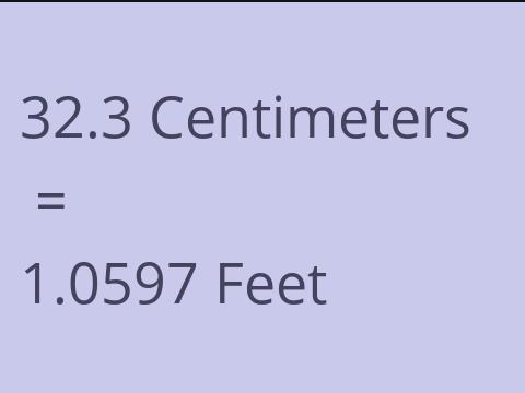 32.3 CM TO FEET