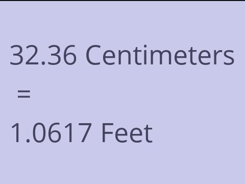 32.36 CM TO FEET