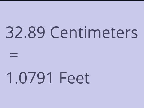 32.89 CM TO FEET