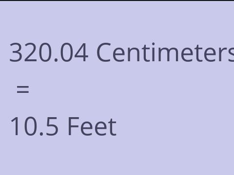 320.04 CM TO FEET