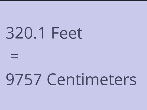 320.1 FEET TO CM