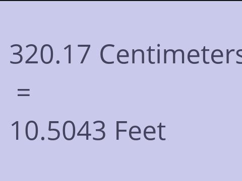 320.17 CM TO FEET