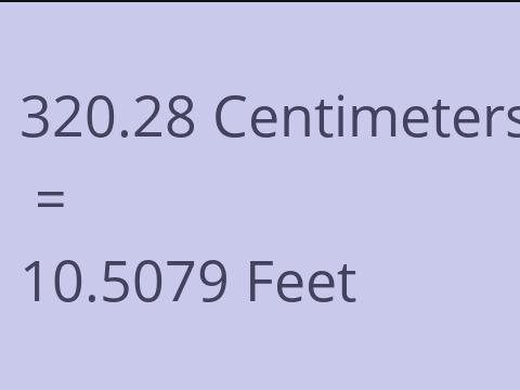 320.28 CM TO FEET