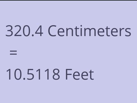 320.4 CM TO FEET