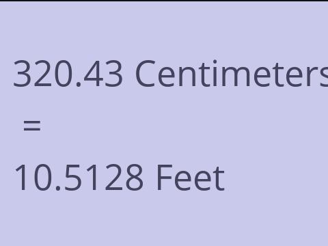 320.43 CM TO FEET