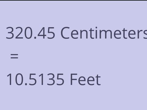 320.45 CM TO FEET