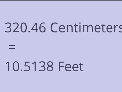 320.46 CM TO FEET