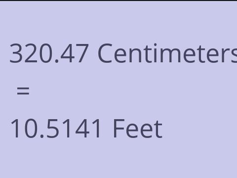 320.47 CM TO FEET