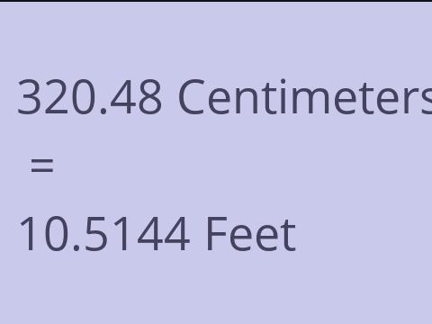 320.48 CM TO FEET