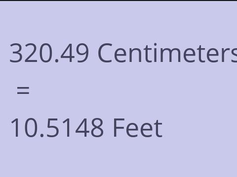 320.49 CM TO FEET