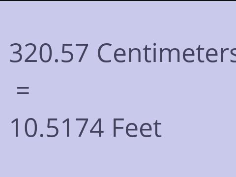 320.57 CM TO FEET