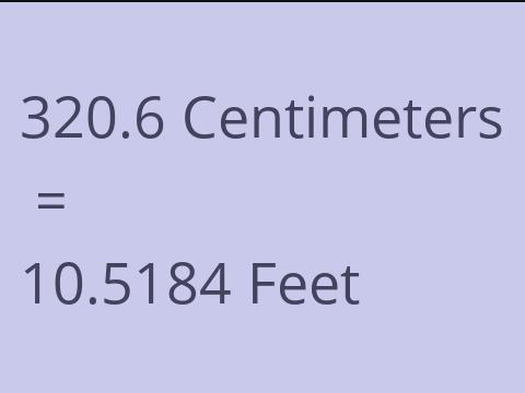 320.6 CM TO FEET