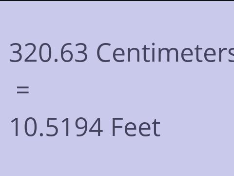 320.63 CM TO FEET