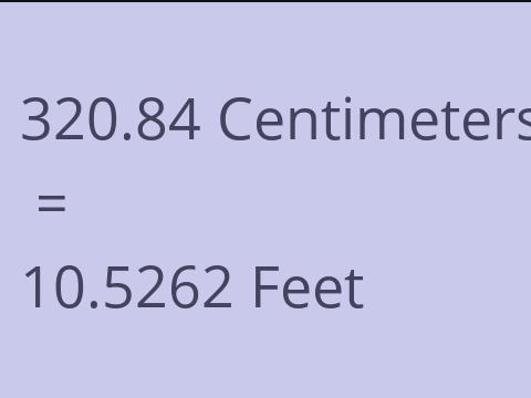 320.84 CM TO FEET