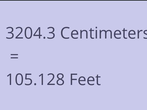 3204.3 CM TO FEET