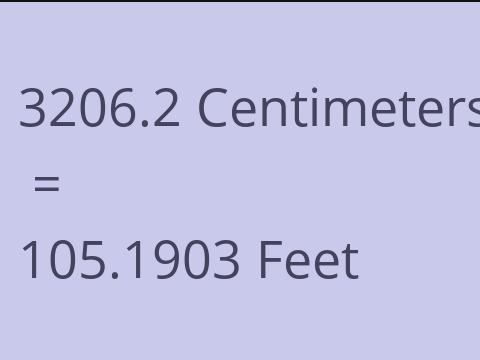3206.2 CM TO FEET
