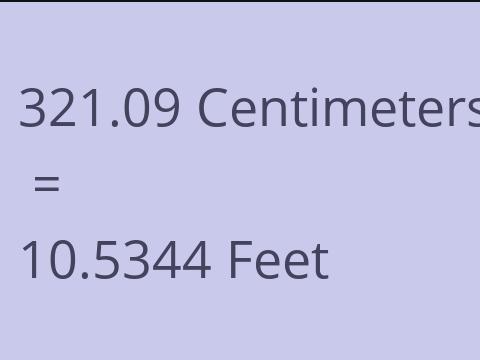 321.09 CM TO FEET