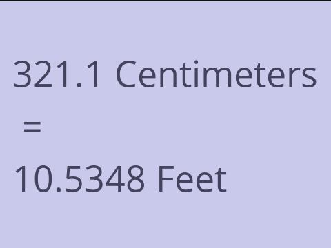 321.1 CM TO FEET