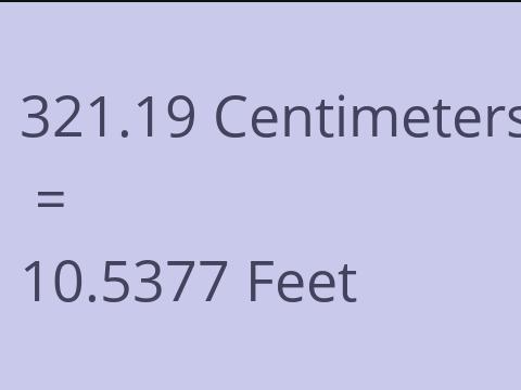 321.19 CM TO FEET