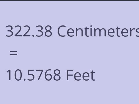 322.38 CM TO FEET