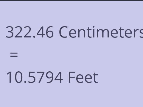 322.46 CM TO FEET