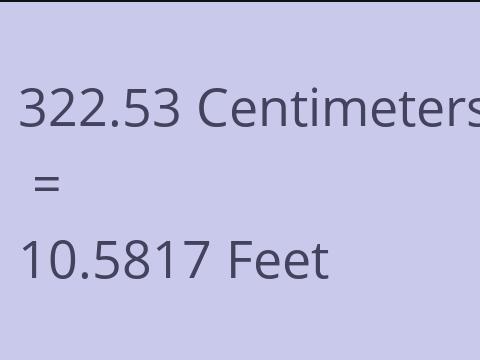 322.53 CM TO FEET