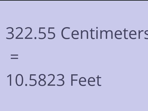 322.55 CM TO FEET