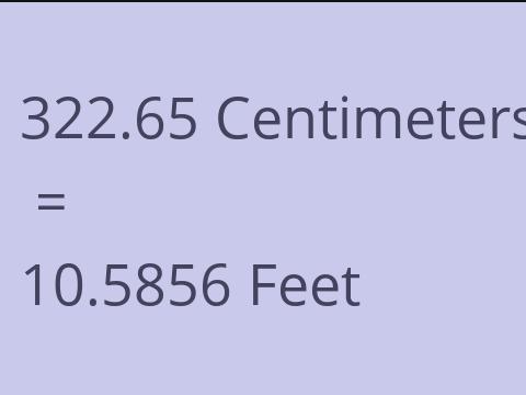 322.65 CM TO FEET