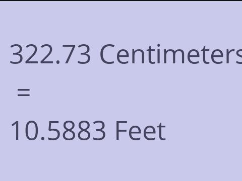 322.73 CM TO FEET