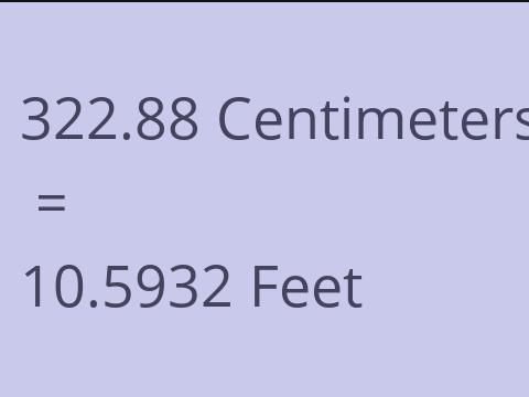 322.88 CM TO FEET